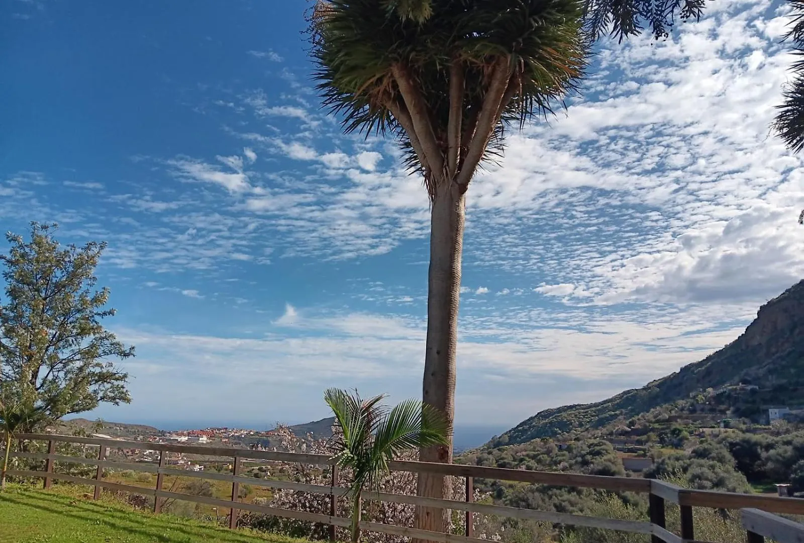 Casas Rurales Don Emilio Valsequillo Διαμέρισμα